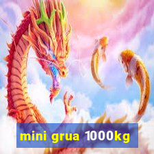 mini grua 1000kg